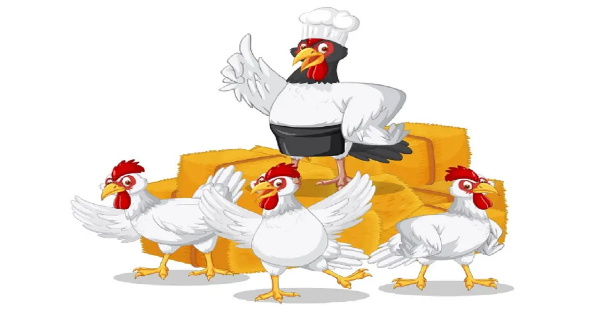 clipart:d_ycixmirb0= chicken